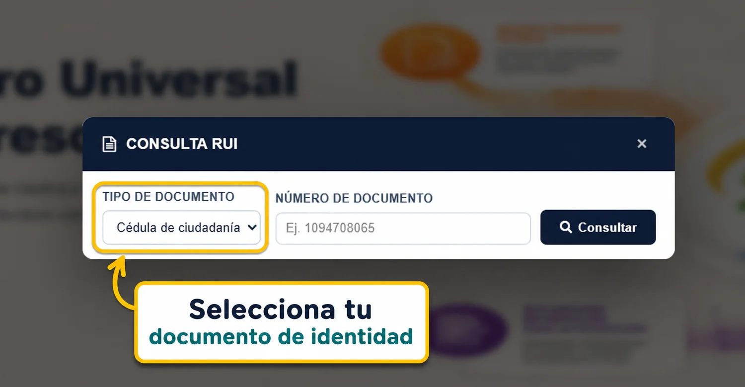 Paso 2 para consultar RUI: seleccionar el tipo de documento de identidad